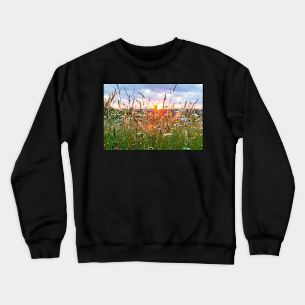 Wildflowers at Sunset Crewneck Sweatshirt by ShootFirstNYC